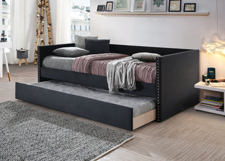Black bed with trundle in a bedroom setting
