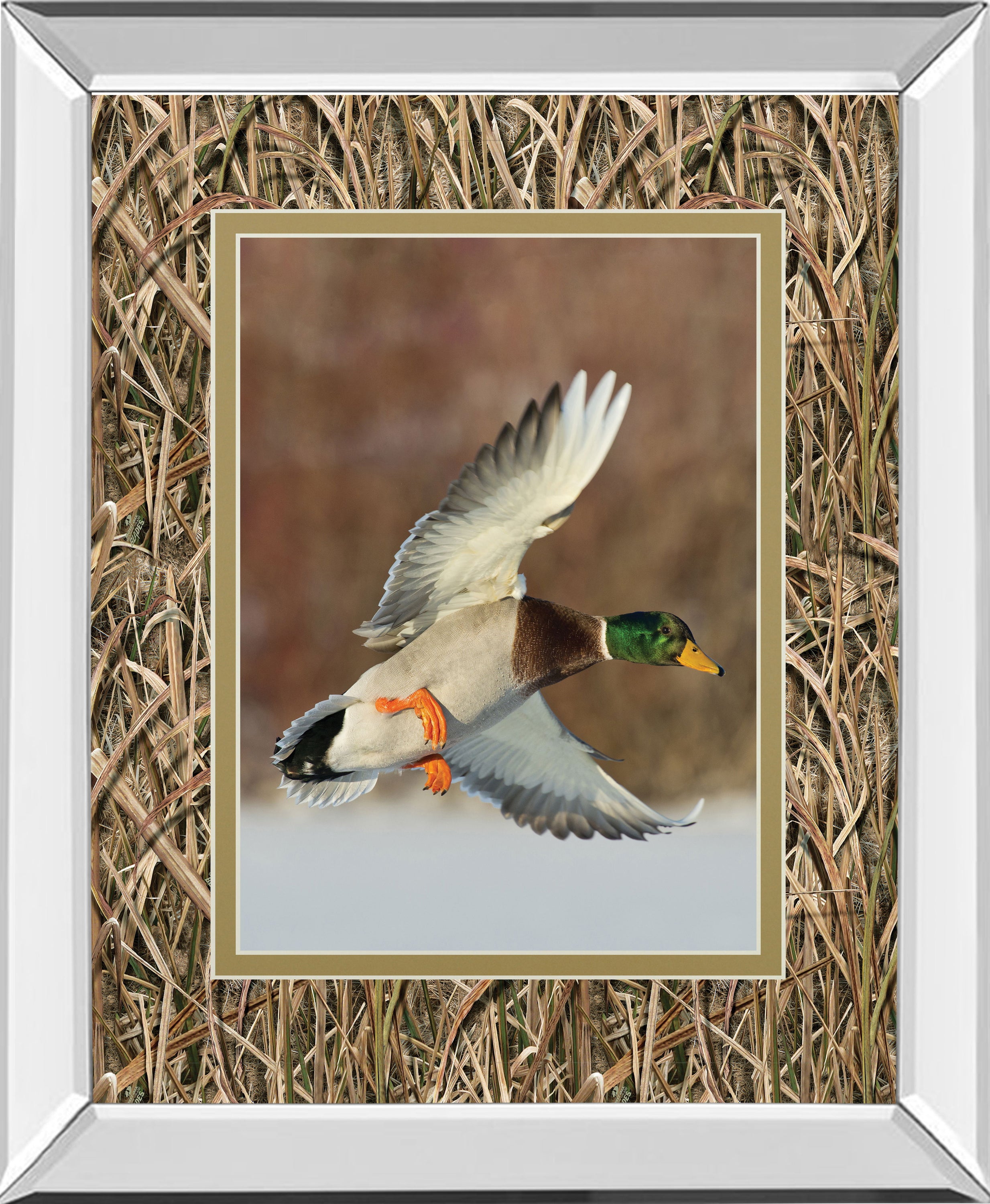 Flying Mallard By Steve Oehlenschlager Mirror Framed Mossy Oak Native Living Print - Dark Brown