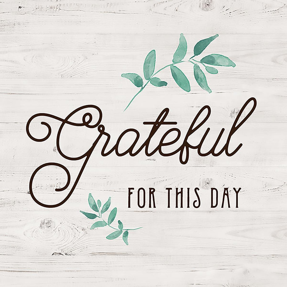 Grateful For This Day By Amanda Murray (Framed) - Pearl Silver