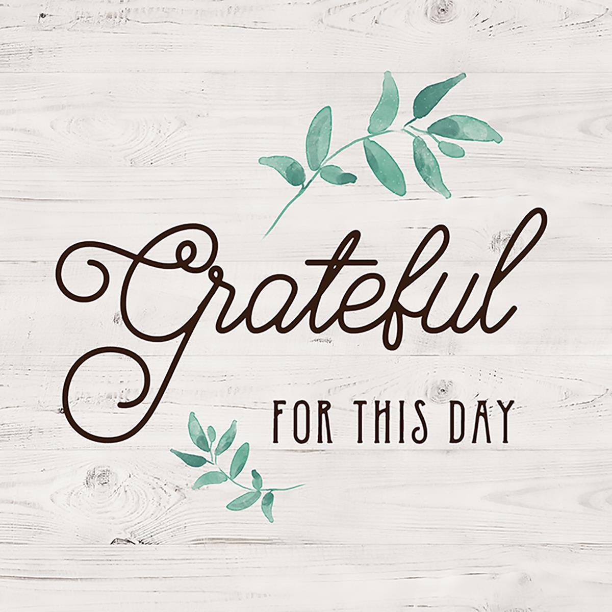 Grateful For This Day By Amanda Murray (Framed) (Small) - Pearl Silver