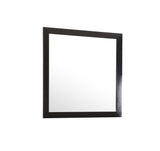 Burlington - Modern Design Transitional Wall Mirror
