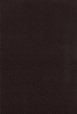 Dewey - Upholstered Counter Chair (Set of 2) - Walnut by CoasterEssence | Bel Furniture