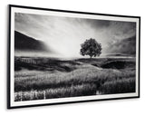 Deborland - Wall Art - Black / White