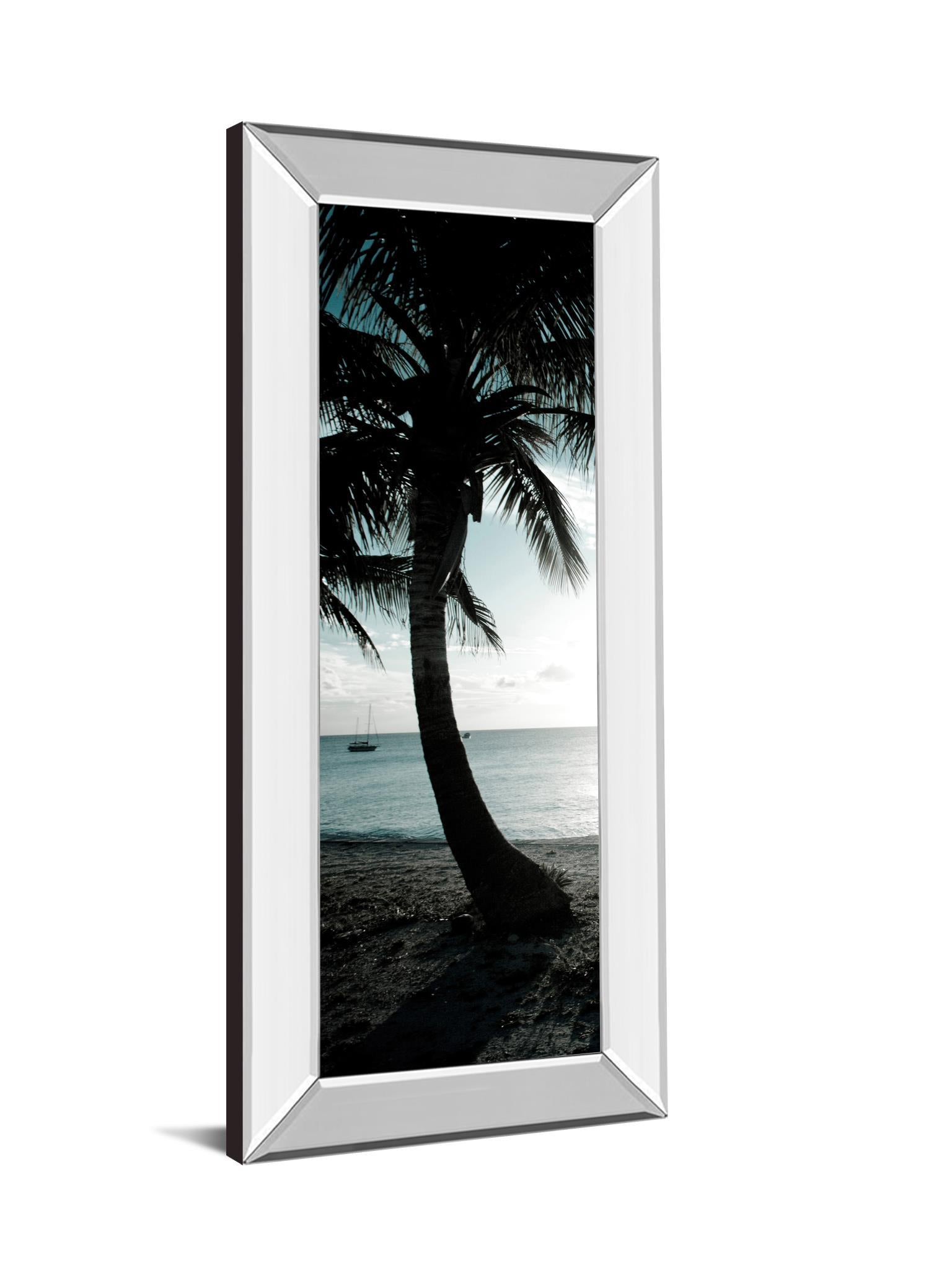 Cool Bimini Palms Il By Susan Bryant - Mirror Framed Print Wall Art - Black