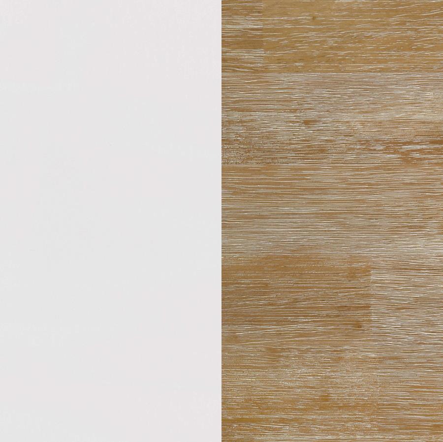 Hollis - 2 Door Wood TV Stand With Drawer - Brown And White by Coaster Fine Furniture | Bel Furniture