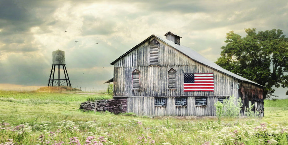 Rural Virginia Barn By Lori Deiter - Dark Gray