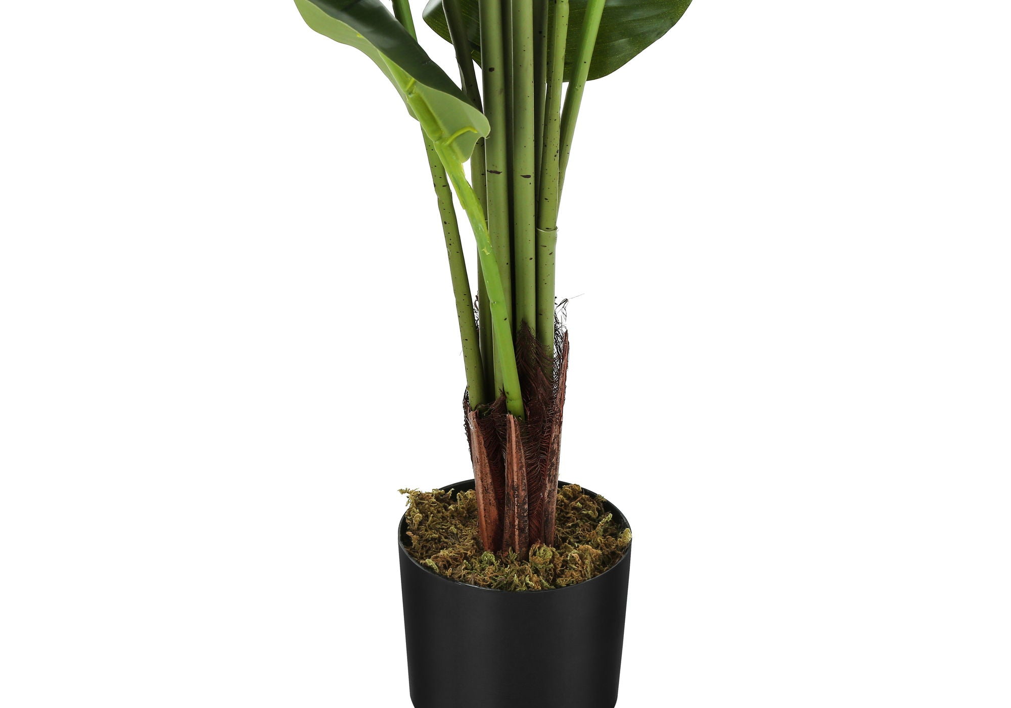 59" Tall, Artificial Plant, Strelitzia Tree, Indoor, Faux, Fake, Floor, Greenery, Potted, Real Touch, Decorative - Green / Black