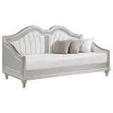 Evangeline - Upholstered Twin Daybed - Silver Oak by Coaster Fine Furniture | Bel Furniture