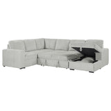 Devonshire - Sleeper Sectional Sofa Storage Chaise