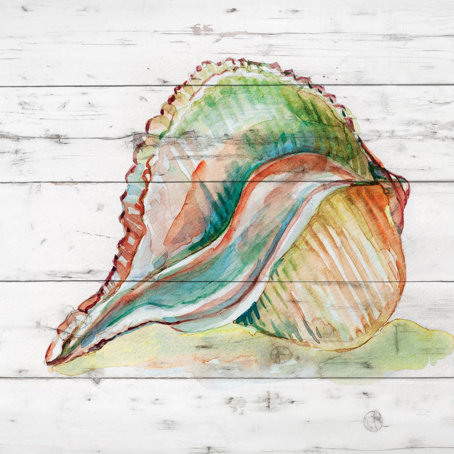 Framed - Tye Dyed Shell II By Carol Robinson - Green