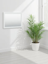 Bostwick Shoals - Bedroom Mirror - White