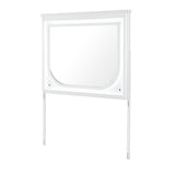 Brenda - Mirror With LED Lighting And Accent Detailing - Gray