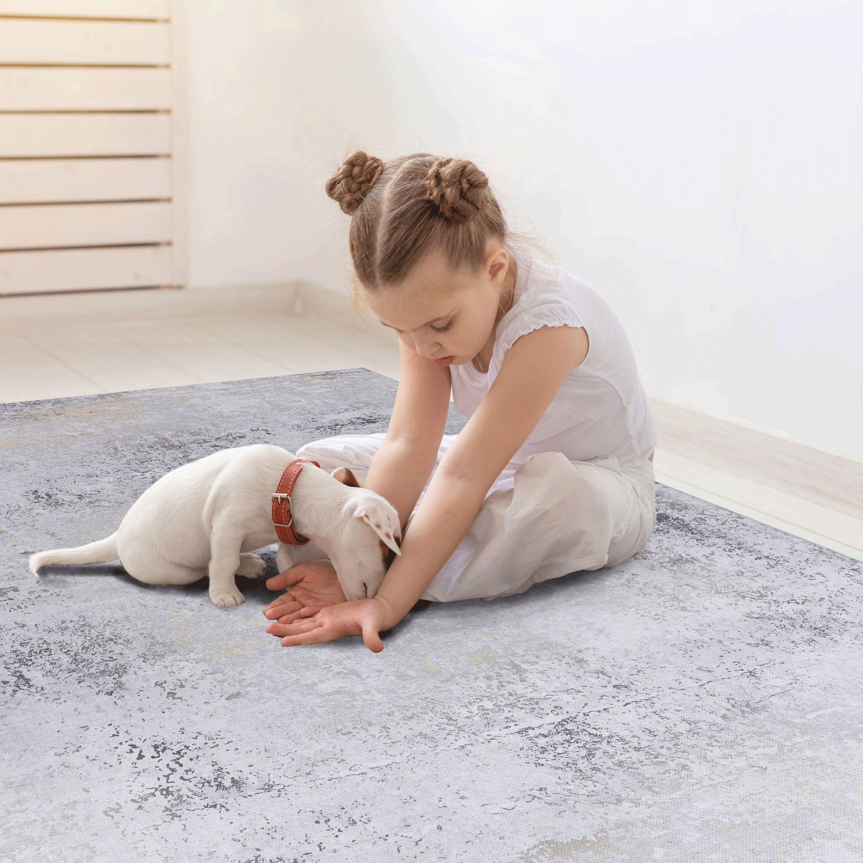 3' x 5' Area Rug, Washable, Low-Pile, Non-Slip, Non-Shedding, Foldable, Kid & Pet Friendly - Gray