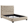 Chloe - Upholstered Panel Bed Beige Full by CoasterEssence | Bel Furniture