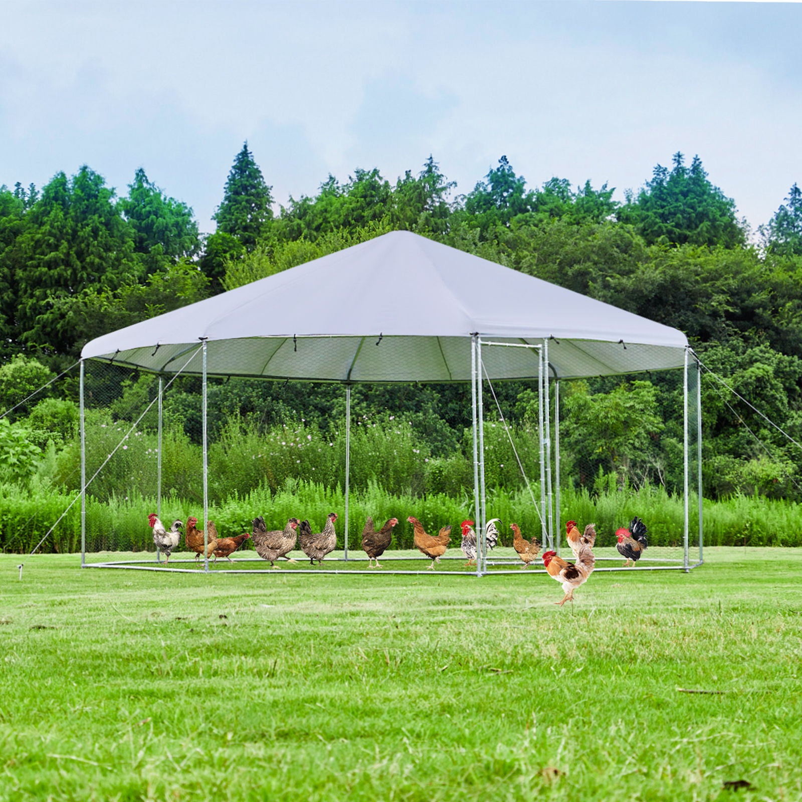 Large Metal Chicken Coop Octagon, Steel Wire Dipped Plastic Mesh, Oxford Cloth Plated Waterproof And UV Resistant, Ducks, Rabbits, Sheep And Birds Outdoor House - Silver