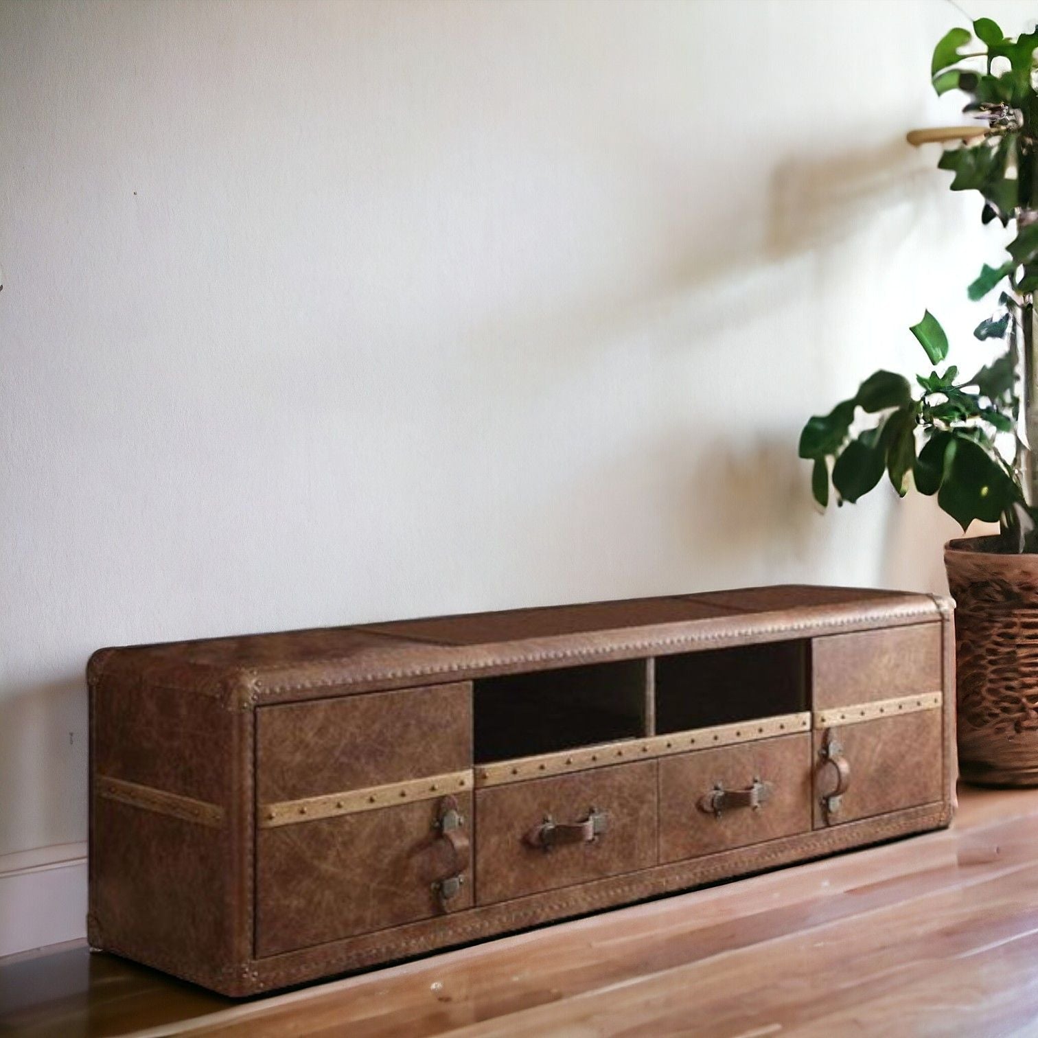 Leather Cabinet Enclosed Storage TV Stand - Brown