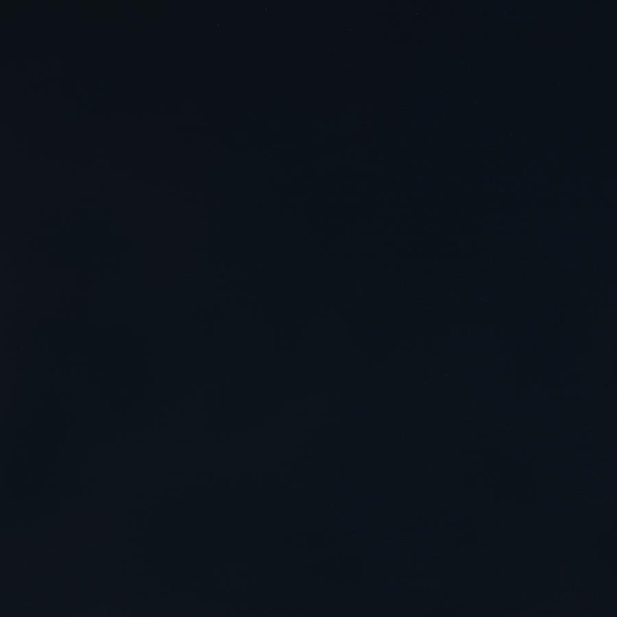 Carlsbad - Wood Captains Bed With Trundle by Coaster Fine Furniture | Bel Furniture