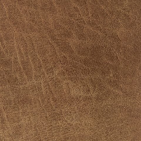 Cortnie - Pillow (Set of 4) - Caramel