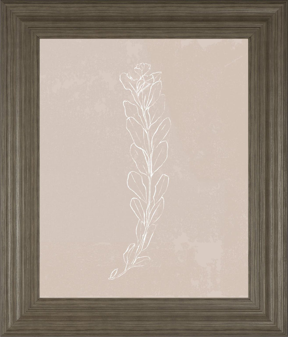 22x26 Blush Bloom II By Annie Warren - Beige