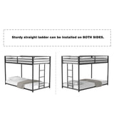 Adam - Bunk Bed