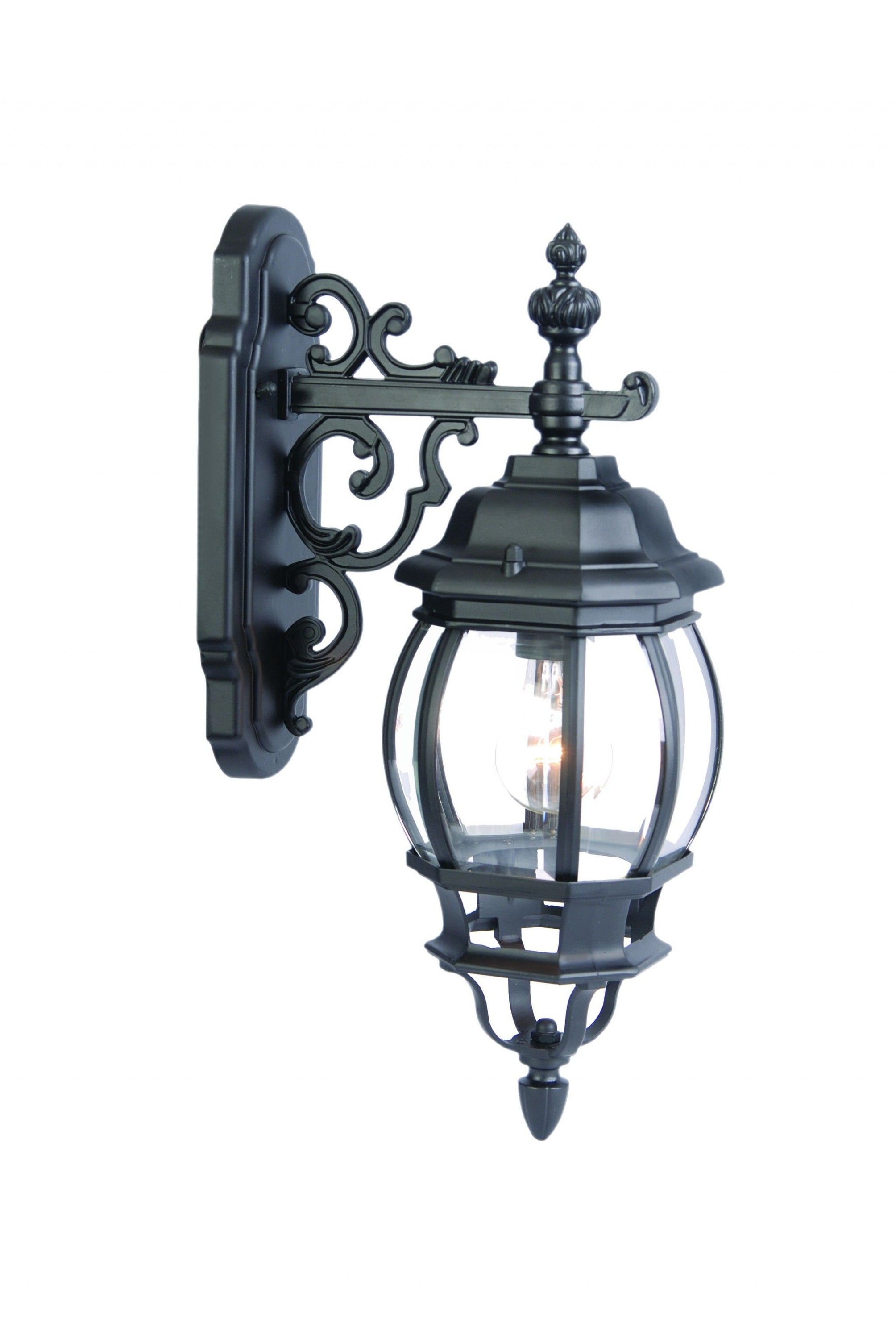 Hanging Glass Globe Wall Light - Matte Black