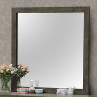 Modern Design Transitional Wall Mirror