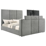 Tara - Upholstered Panel TV Bed