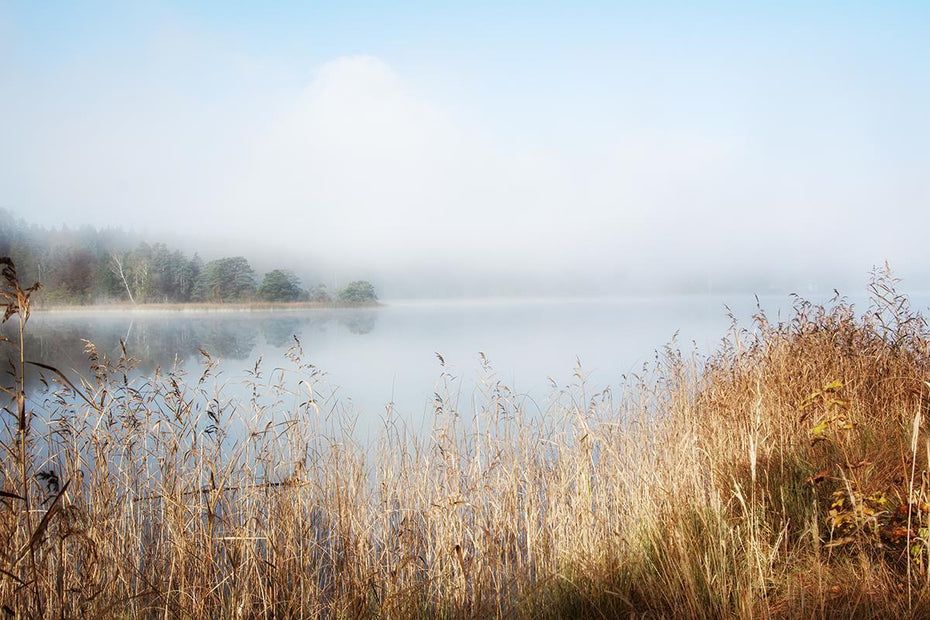 Enjoy Lovely Nature By Irene Weisz (Framed) - Light Blue