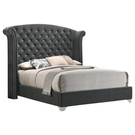 Melody - Upholstered Wingback Bed Dark Gray King by CoasterEveryday | Bel Furniture