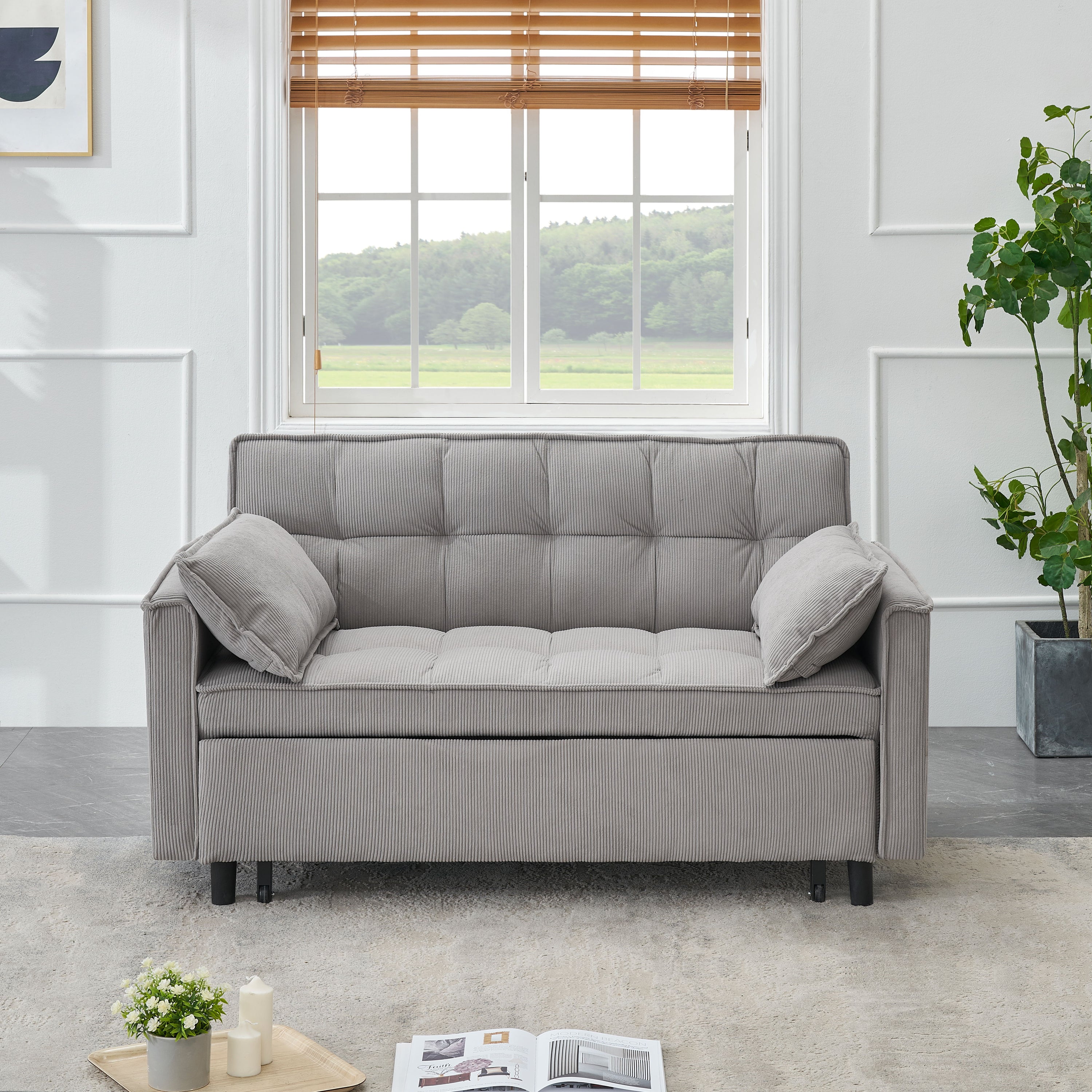 Two-Seat Casual Sofa With Pull Out Bed, Living Room Furniture