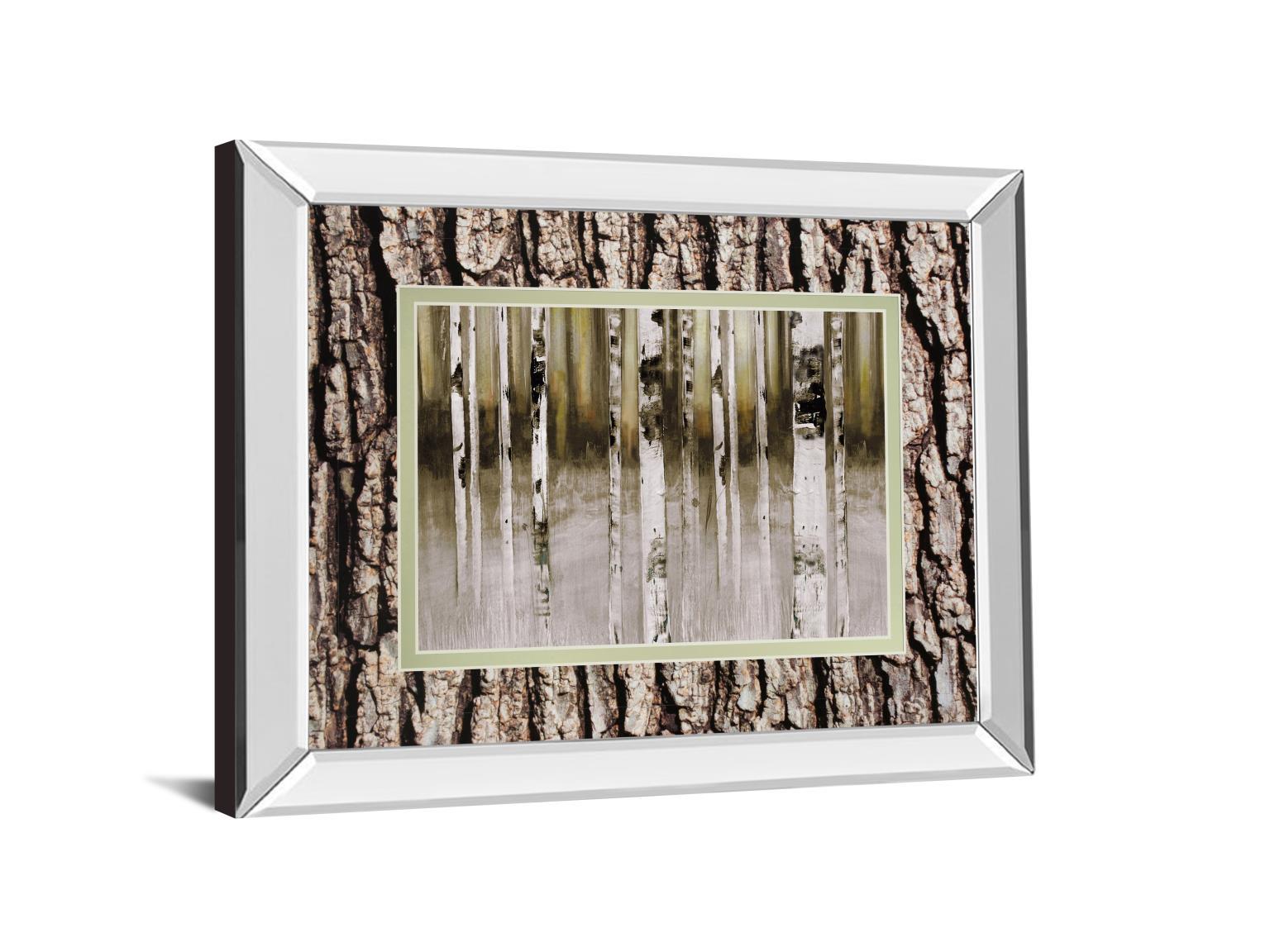 Fern Creek By Susan Jill Double Matted - Mirrored Framed Wall Art - White