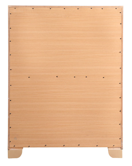 Sleek Contemporary Storage Chest - view 14