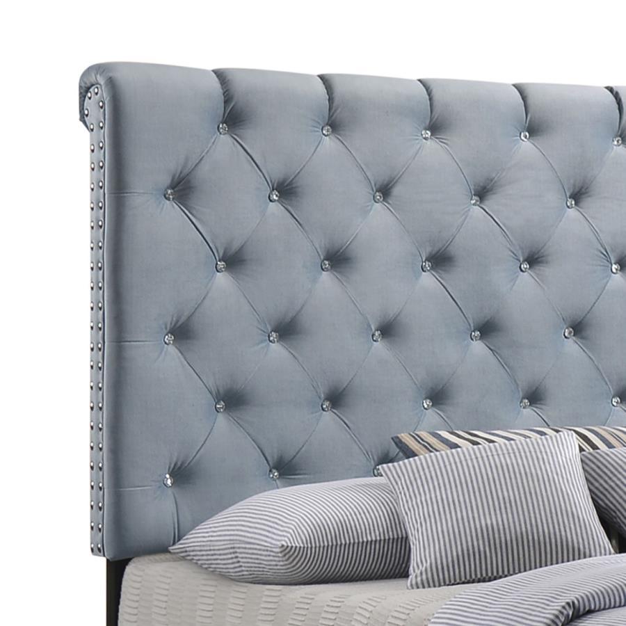 Warner - Upholstered Panel Bed