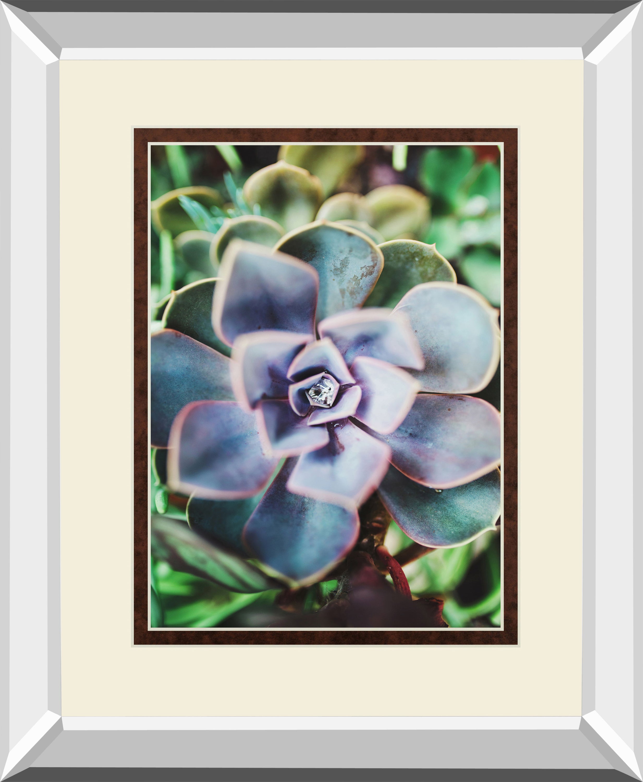 Succulence Beauty By Chelsea Kedron Mirrored Frame - Blue