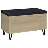 Brixton - 2-Door Padded Entryway Shoe Storage Bench by Coaster Fine Furniture | Bel Furniture