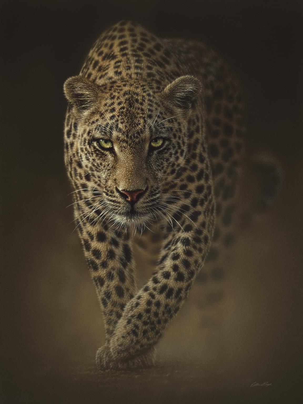 Small - Leopard By Collin Bogle - Dark Brown