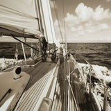 Arlanford - Wall Art - Sepia