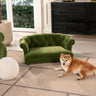 Kiki - Chesterfield Dog Sofa Bed Medium by Jennifer Taylor Home | Bel Furniture