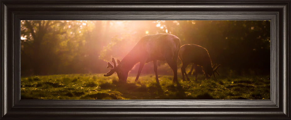 Morning Haze By Joe Reynolds Wall Art - Dark Brown