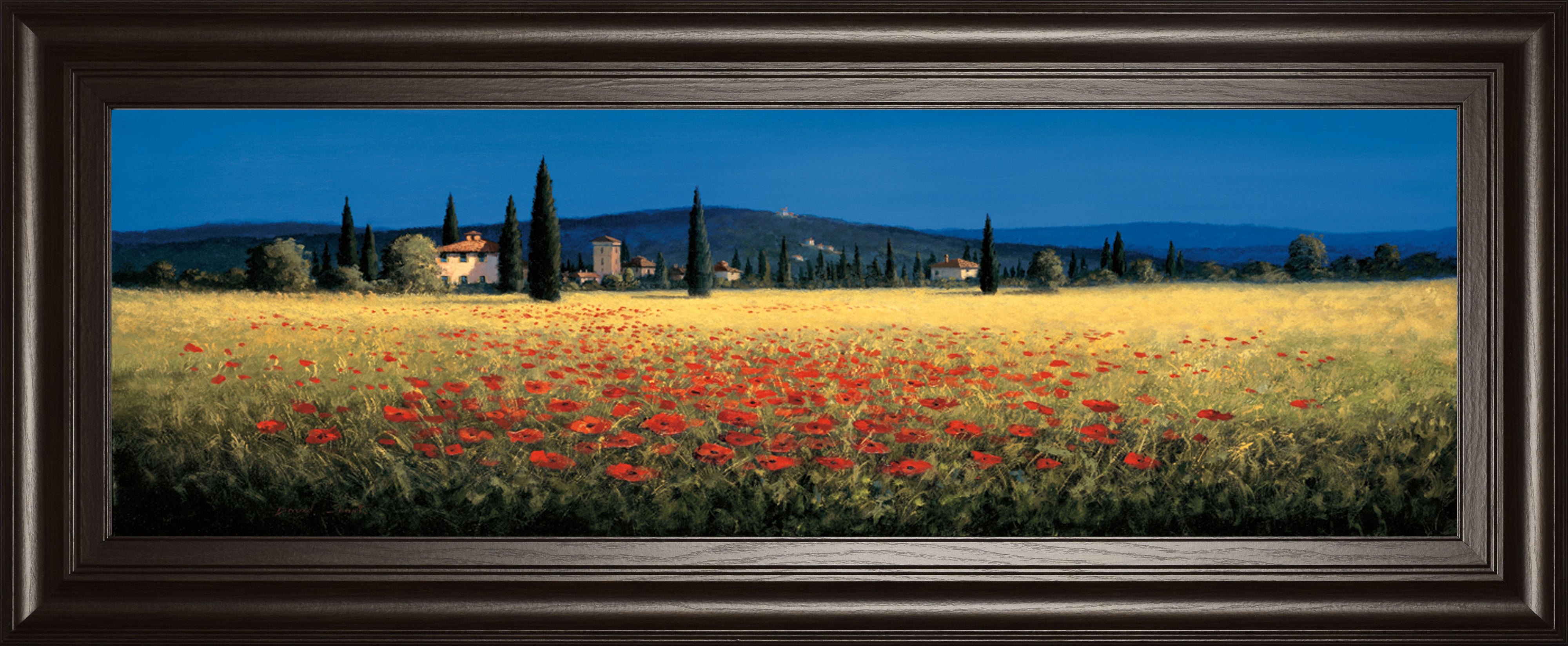 Tuscan Panorama-poppies By David Short - Blue