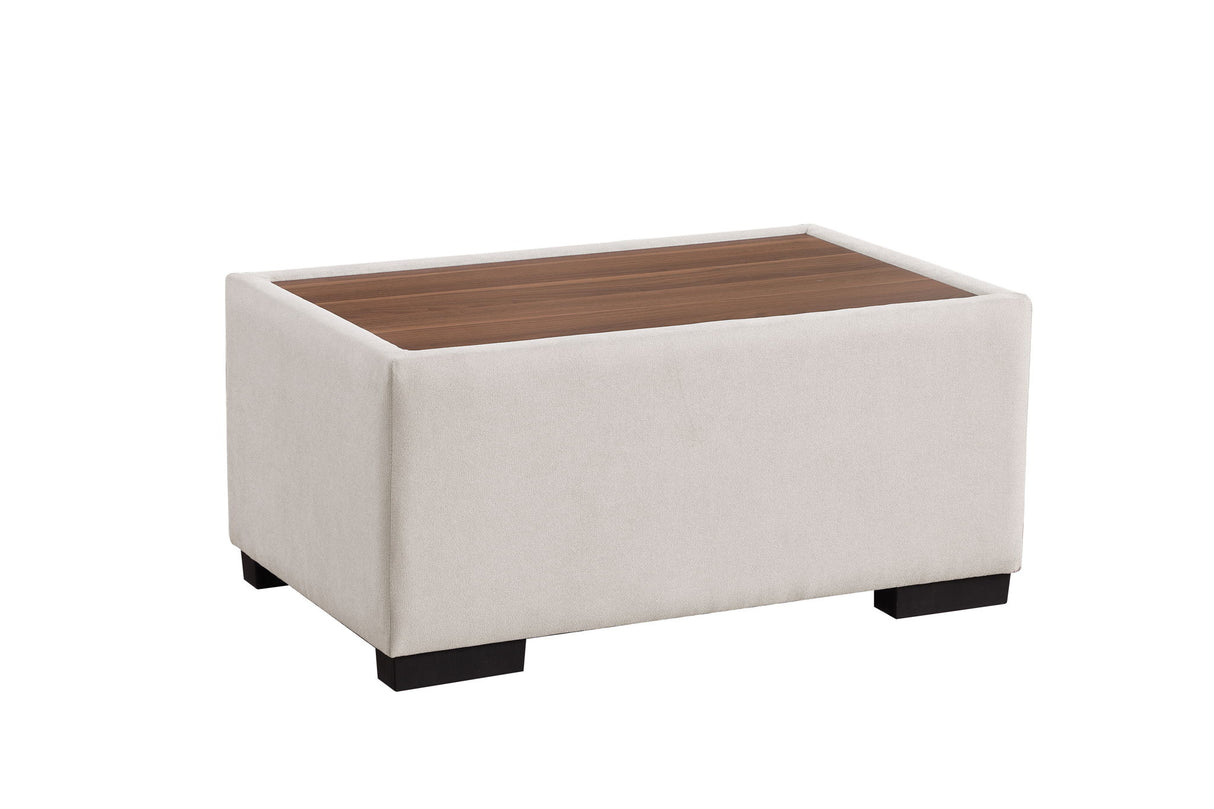 Joshua - 100" Sectional Sofa with Right Facing Chaise and Console Ottoman by Lilola Home | Bel Furniture