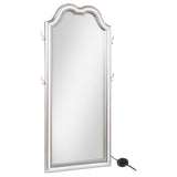 Evangeline - Full Length LED Light Floor Mirror - Silver Oak by Coaster Fine Furniture | Bel Furniture