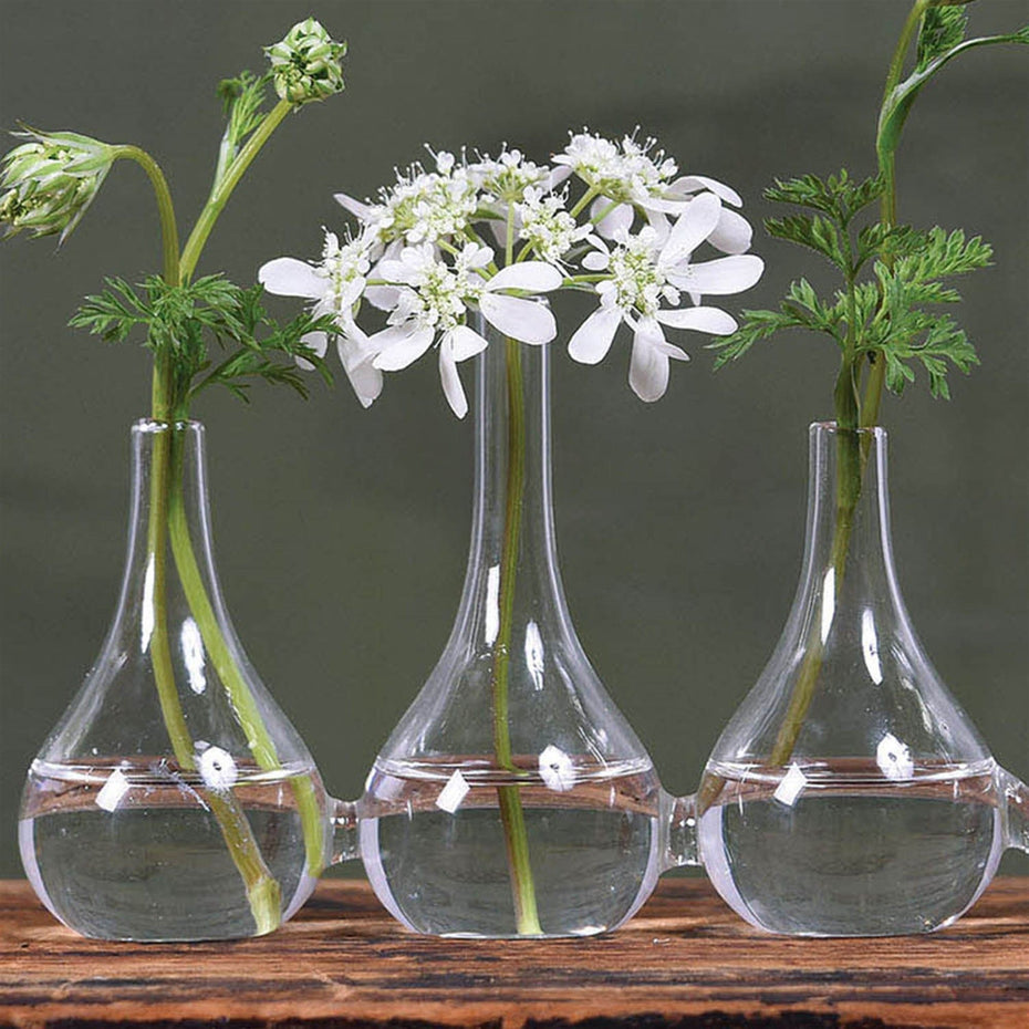 Quintuplet Joined Posy Vases (Set of 5) - Glass